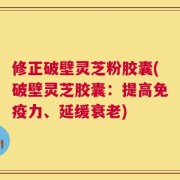 修正破壁灵芝粉胶囊(破壁灵芝胶囊：提高免疫力、延缓衰老)