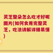 灵芝整朵怎么吃才好呢图片(如何食用完整灵芝，吃法讲解详细易懂)