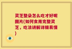 灵芝整朵怎么吃才好呢图片(如何食用完整灵芝，吃法讲解详细易懂)