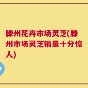 滕州花卉市场灵芝(滕州市场灵芝销量十分惊人)