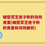 破壁灵芝孢子粉的功效用量(破壁灵芝孢子粉的用量和功效解析)