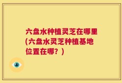 六盘水种植灵芝在哪里(六盘水灵芝种植基地位置在哪？)