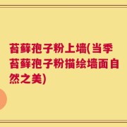 苔藓孢子粉上墙(当季苔藓孢子粉描绘墙面自然之美)