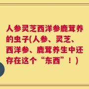 人参灵芝西洋参鹿茸养的虫子(人参、灵芝、西洋参、鹿茸养生中还存在这个“东西”！)