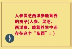 人参灵芝西洋参鹿茸养的虫子(人参、灵芝、西洋参、鹿茸养生中还存在这个“东西”！)