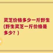 灵芝价格多少一斤野生(野生灵芝一斤价格是多少？)