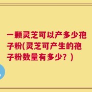 一颗灵芝可以产多少孢子粉(灵芝可产生的孢子粉数量有多少？)