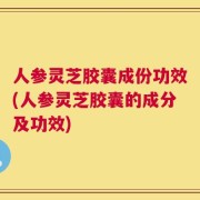 人参灵芝胶囊成份功效(人参灵芝胶囊的成分及功效)