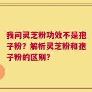 我问灵芝粉功效不是孢子粉？解析灵芝粉和孢子粉的区别？