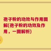 孢子粉的功效与作用图解(孢子粉的功效及作用，一图解析)