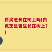 白灵芝长在树上吗(白灵芝是否生长在树上？)