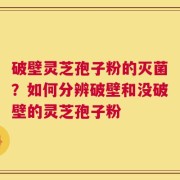 破壁灵芝孢子粉的灭菌？如何分辨破壁和没破壁的灵芝孢子粉