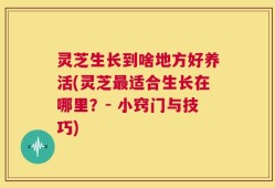 灵芝生长到啥地方好养活(灵芝最适合生长在哪里？- 小窍门与技巧)