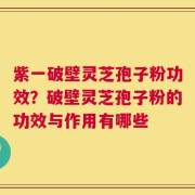 紫一破壁灵芝孢子粉功效？破壁灵芝孢子粉的功效与作用有哪些