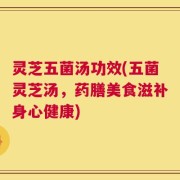 灵芝五菌汤功效(五菌灵芝汤，药膳美食滋补身心健康)