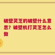 破壁灵芝的破壁什么意思？破壁机打灵芝怎么做