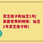 灵芝孢子粉仙芝1号(真菌世界的明珠：仙芝1号灵芝孢子粉)