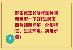 野生灵芝长啥样图片视频讲解一下(野生灵芝图片视频详解：外形特征、生长环境、药用价值)
