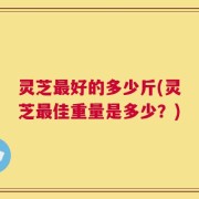 灵芝最好的多少斤(灵芝最佳重量是多少？)