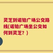 灵芝到诺铂广场公交路线(诺铂广场坐公交如何到灵芝？)