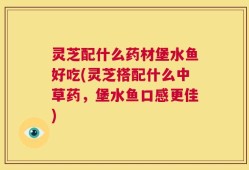 灵芝配什么药材堡水鱼好吃(灵芝搭配什么中草药，堡水鱼口感更佳)