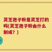 灵芝孢子粉是灵芝打的吗(灵芝孢子粉由什么制成？)