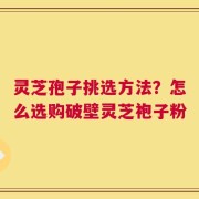 灵芝孢子挑选方法？怎么选购破壁灵芝袍子粉