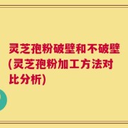 灵芝孢粉破壁和不破壁(灵芝孢粉加工方法对比分析)