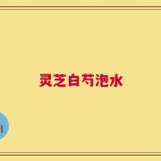 灵芝白芍泡水