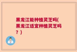 黑龙江能种植灵芝吗(黑龙江适宜种植灵芝吗？)