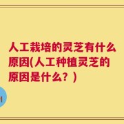 人工栽培的灵芝有什么原因(人工种植灵芝的原因是什么？)