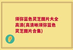 须弥蓝色灵芝图片大全高清(高清晰须弥蓝色灵芝图片合集)