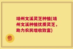 靖州文溪灵芝种植(靖州文溪种植优质灵芝，助力农民增收致富)