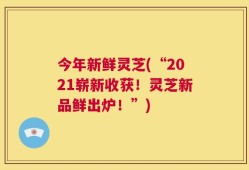 今年新鲜灵芝(“2021崭新收获！灵芝新品鲜出炉！”)