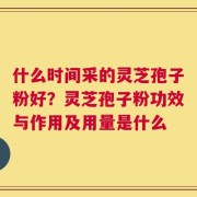 什么时间采的灵芝孢子粉好？灵芝孢子粉功效与作用及用量是什么