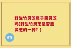 野生竹灵芝属于黑灵芝吗(野生竹灵芝是否黑灵芝的一种？)