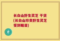 长白山野生灵芝 干货(长白山珍贵野生灵芝受到瞩目)