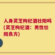 人身灵芝枸杞酒壮阳吗(灵芝枸杞酒：男性壮阳良方)