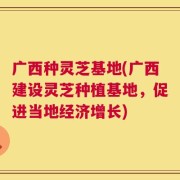 广西种灵芝基地(广西建设灵芝种植基地，促进当地经济增长)