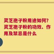 灵芝孢子粉用途如何？灵芝孢子粉的功效、作用及禁忌是什么