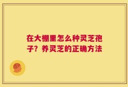 在大棚里怎么种灵芝孢子？养灵芝的正确方法