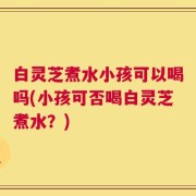 白灵芝煮水小孩可以喝吗(小孩可否喝白灵芝煮水？)