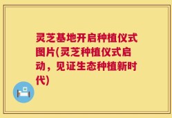 灵芝基地开启种植仪式图片(灵芝种植仪式启动，见证生态种植新时代)