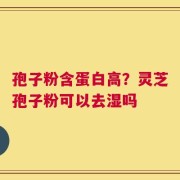 孢子粉含蛋白高？灵芝孢子粉可以去湿吗