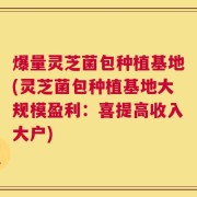 爆量灵芝菌包种植基地(灵芝菌包种植基地大规模盈利：喜提高收入大户)