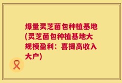 爆量灵芝菌包种植基地(灵芝菌包种植基地大规模盈利：喜提高收入大户)