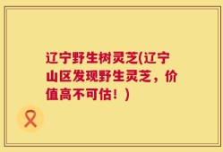 辽宁野生树灵芝(辽宁山区发现野生灵芝，价值高不可估！)