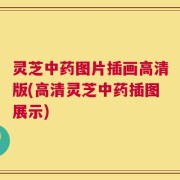 灵芝中药图片插画高清版(高清灵芝中药插图展示)