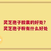 灵芝孢子胶囊的好处？灵芝孢子粉有什么好处