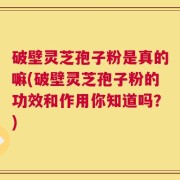 破壁灵芝孢子粉是真的嘛(破壁灵芝孢子粉的功效和作用你知道吗？)